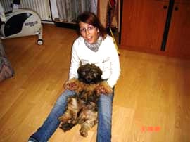 tibeti terrier